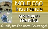 mold E&O insurance